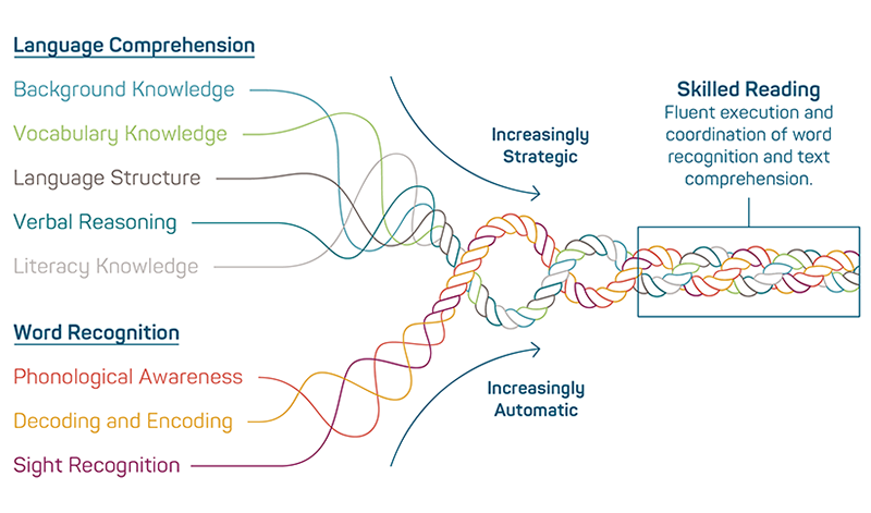 Scarsborough Reading Rope